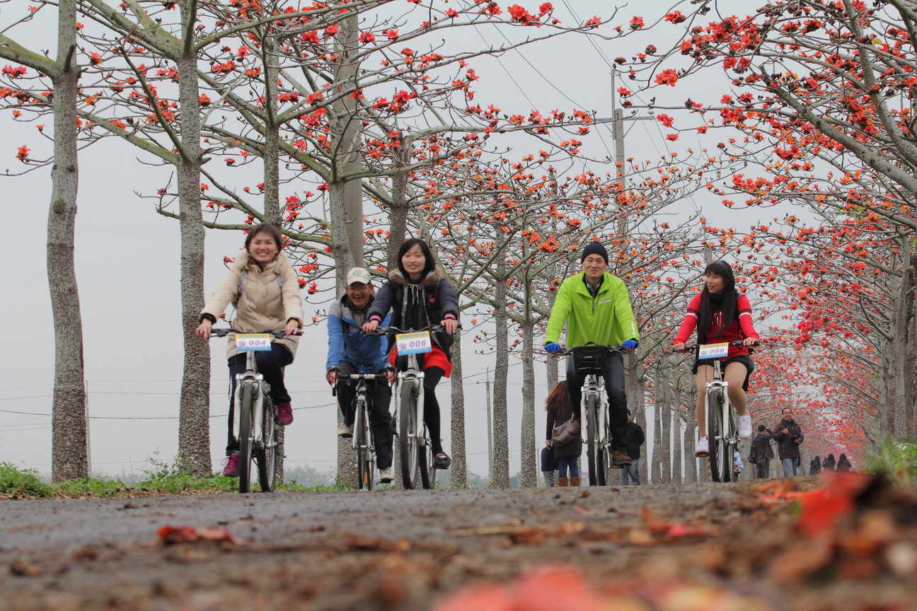 台南市白河區-木棉道