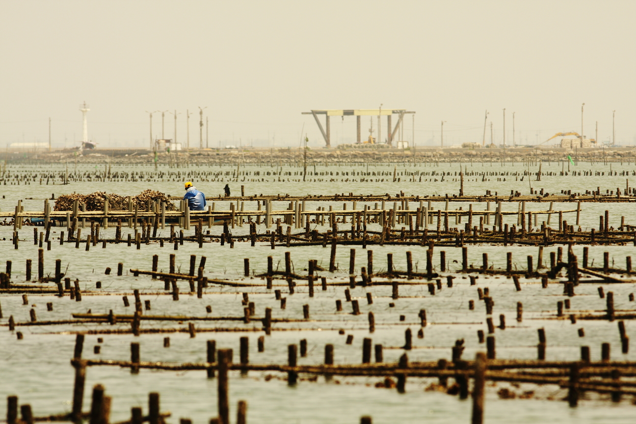 02_21世紀，東石