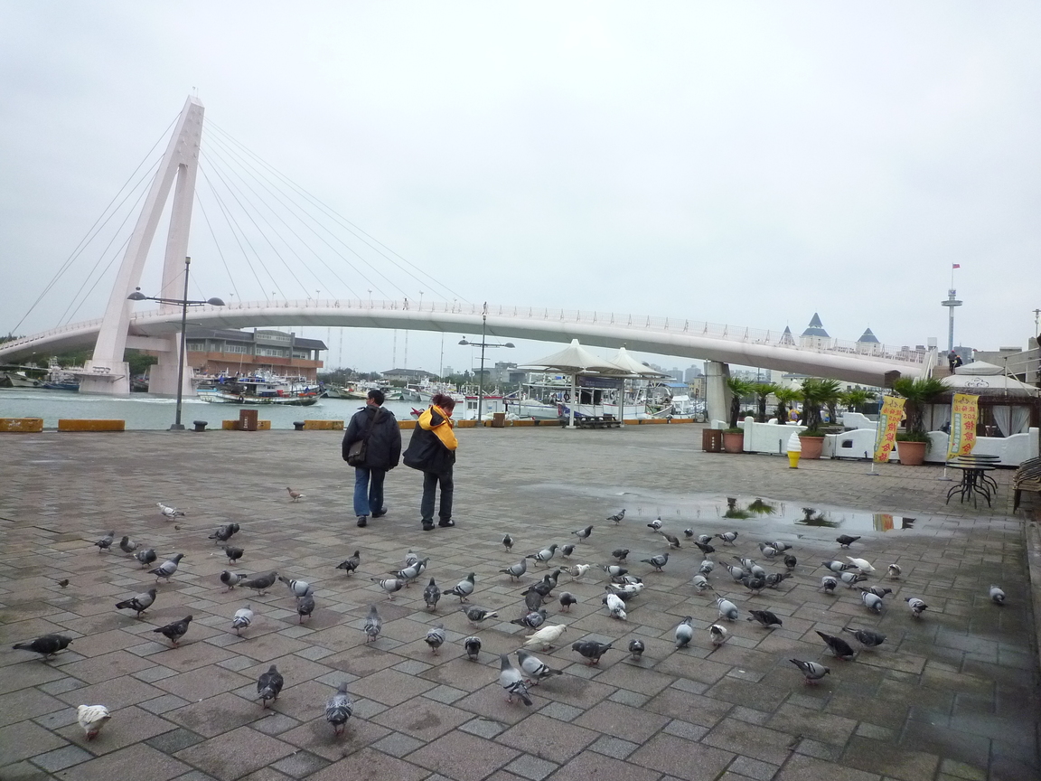 旅人的紛爭，鴿子的和平