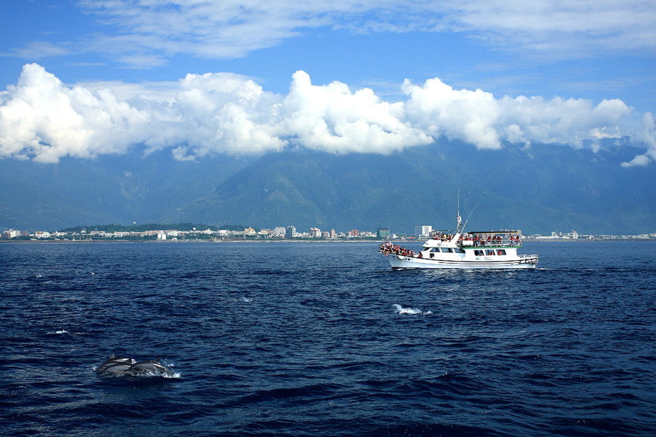 悠游海上