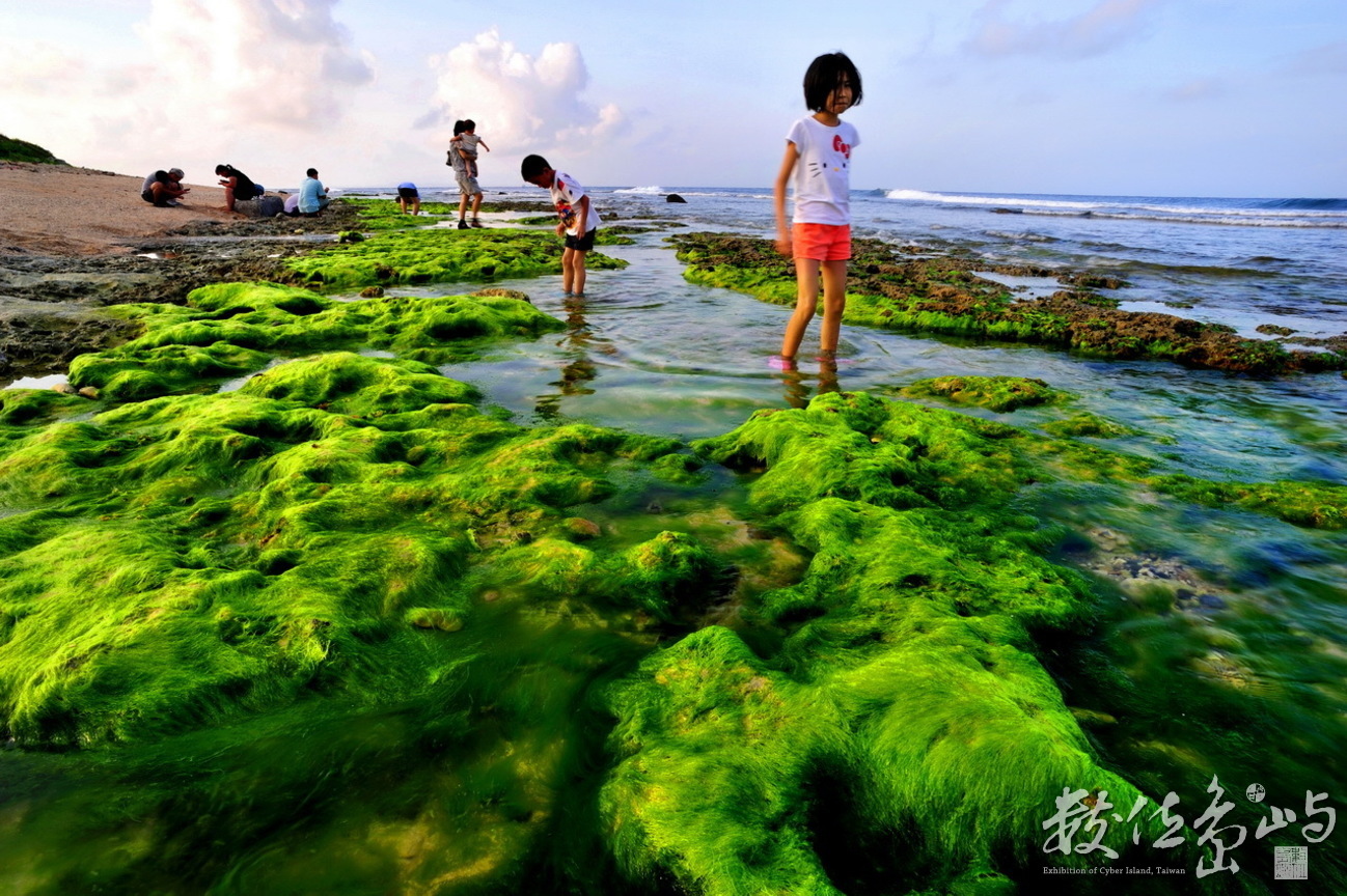 地景與生態組_黃慈真_03_潮間帶尋寶