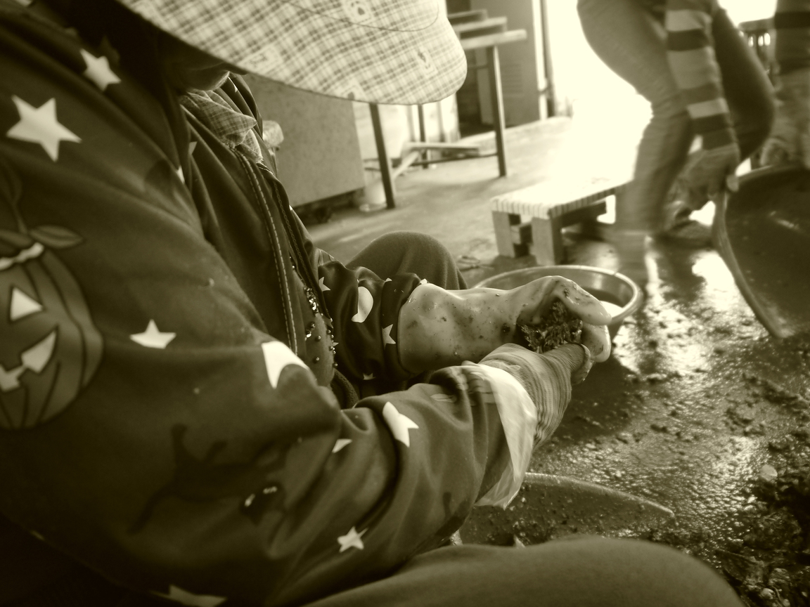 產業與人文組_曾堂維_02_蚵珍珠