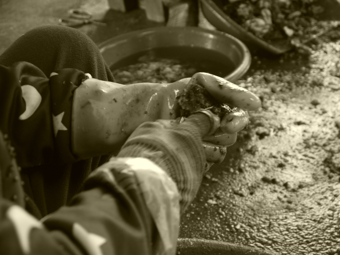 產業與人文組_曾堂維_03_蚵珍珠