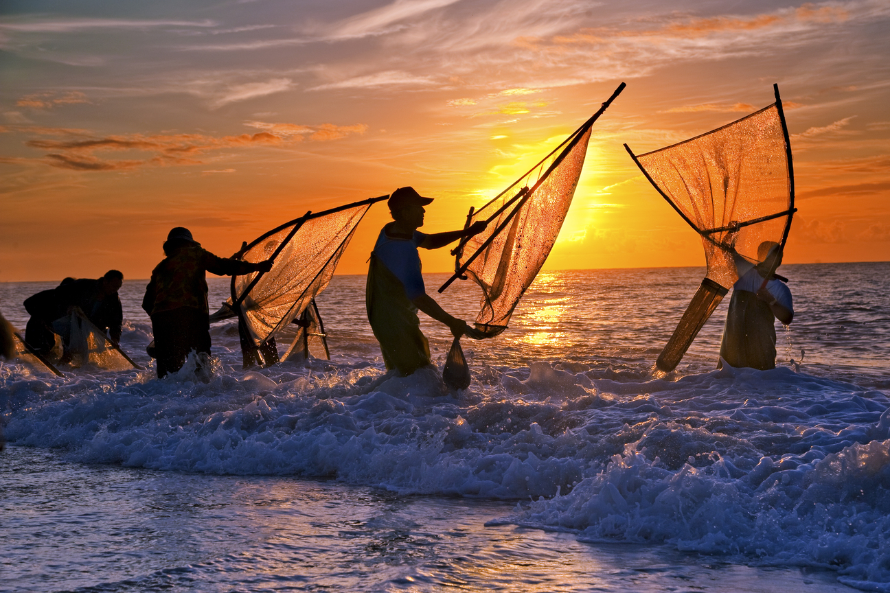 產業與人文組_林碧貴_02_撈魚苗