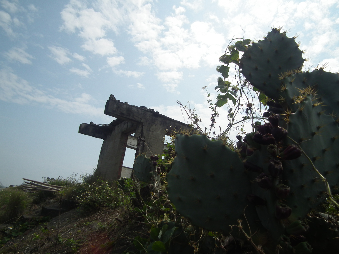 地景與生態組_林向軒_01_觀望台