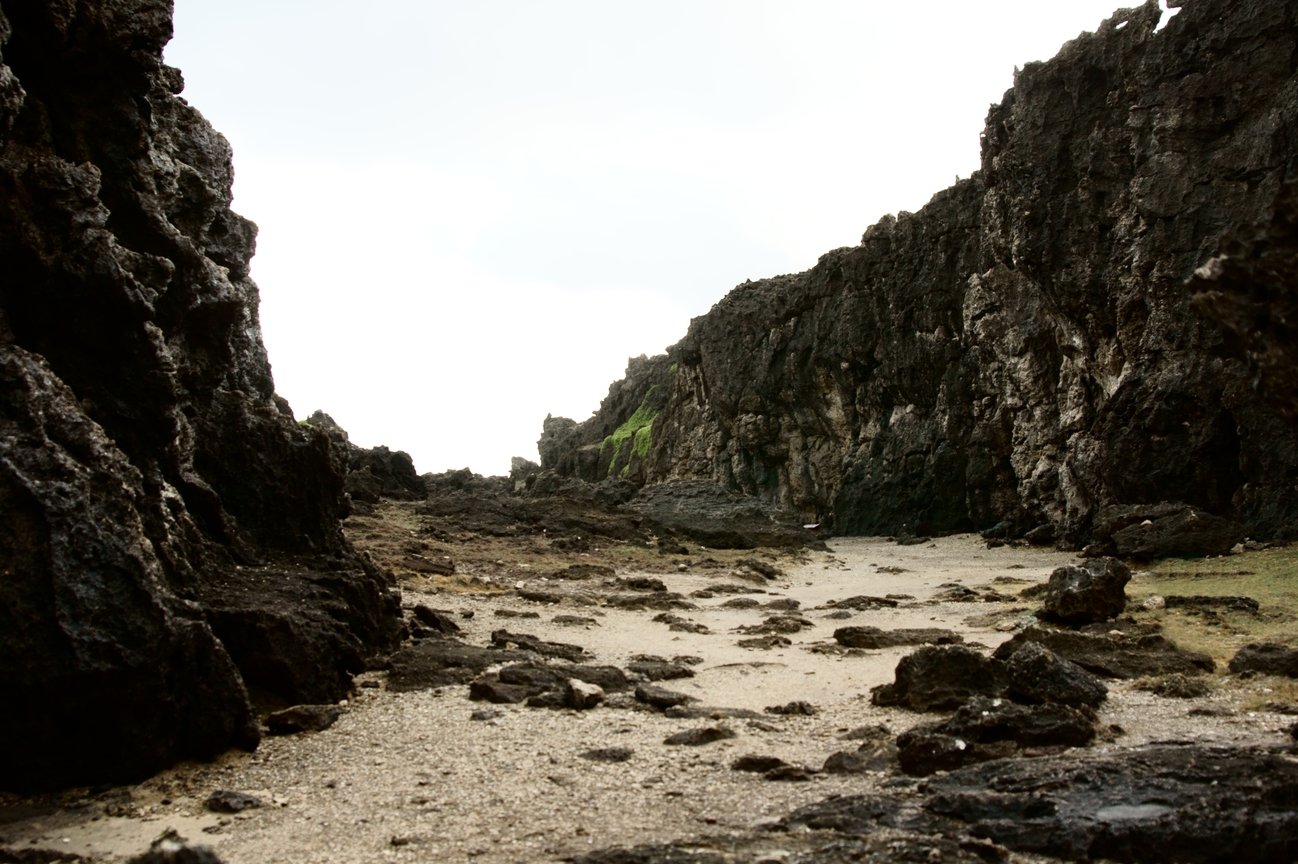 龍坑高位珊瑚礁