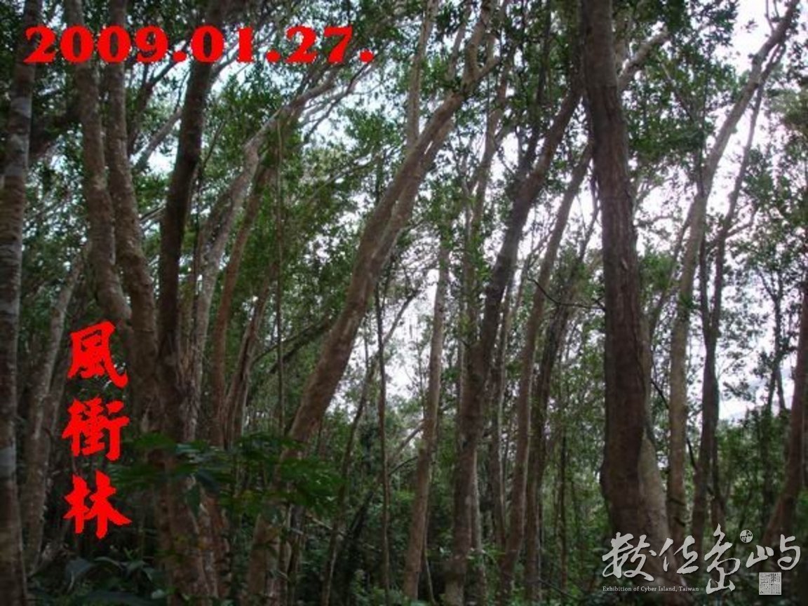 南澳．朝陽國家步道