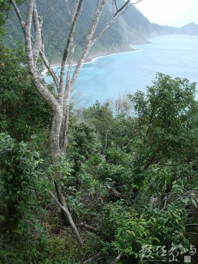 南澳．朝陽國家步道