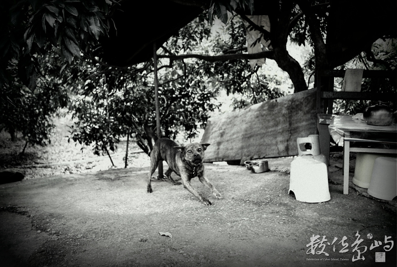 台南市楠西區－盡忠職守