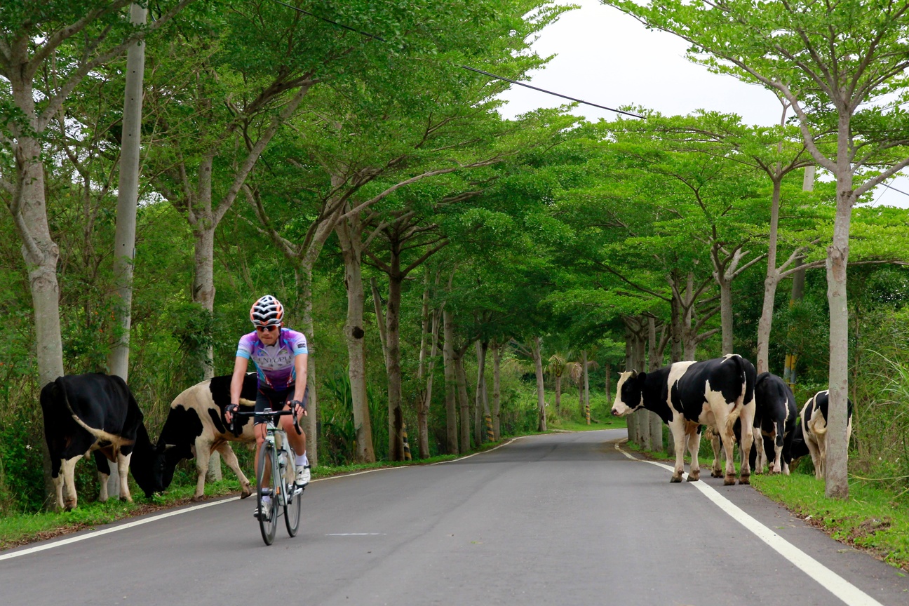 台東縣．縣道197