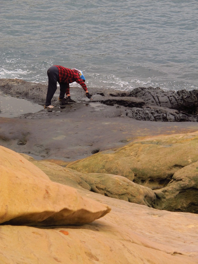 新北市萬里區-野柳