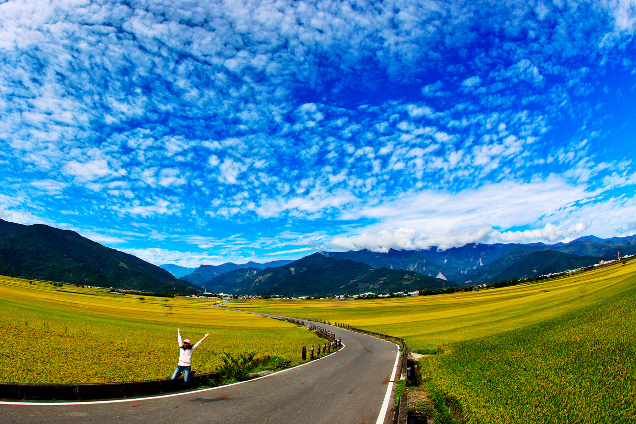 台東縣池上鄉-米鄉