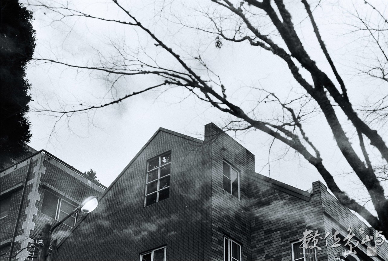 嘉義縣阿里山鄉--山中旅店