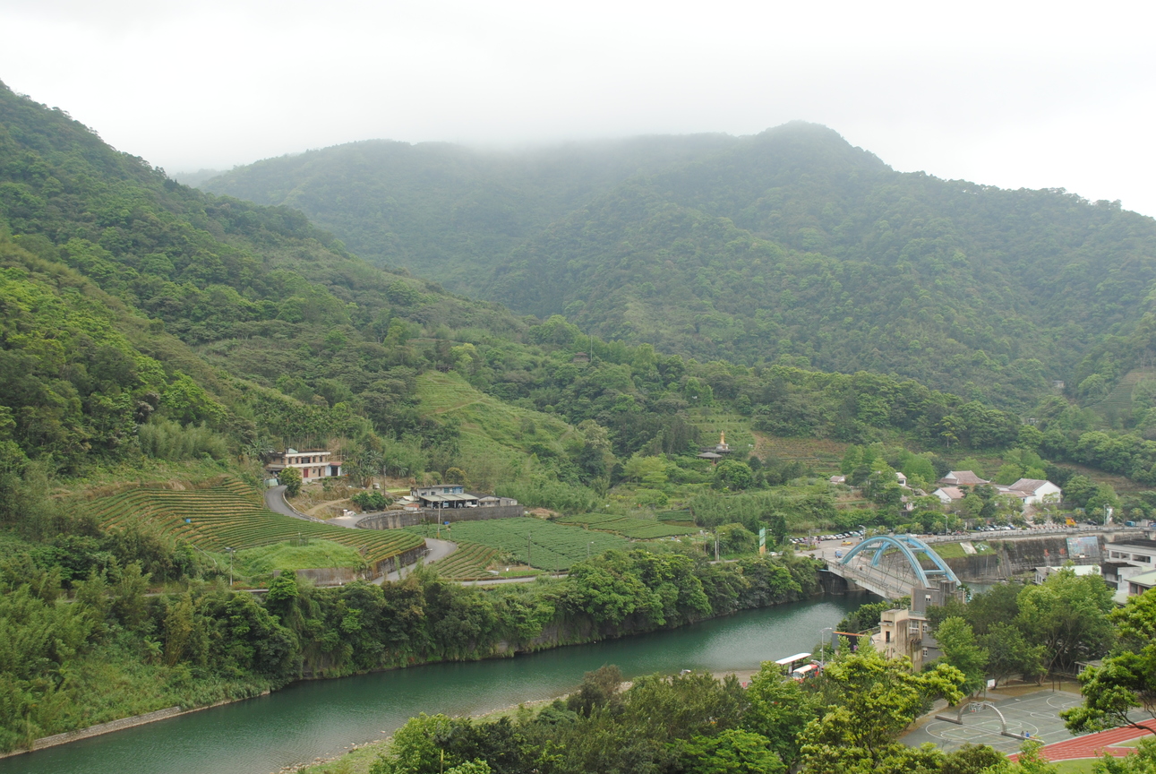 新北市坪林區－茶鄉坪林