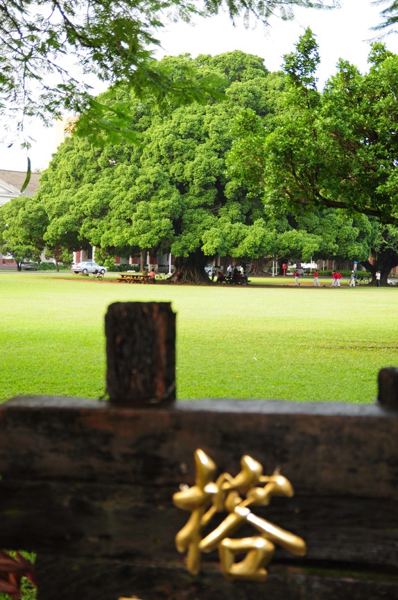 台南市東區-成功大學