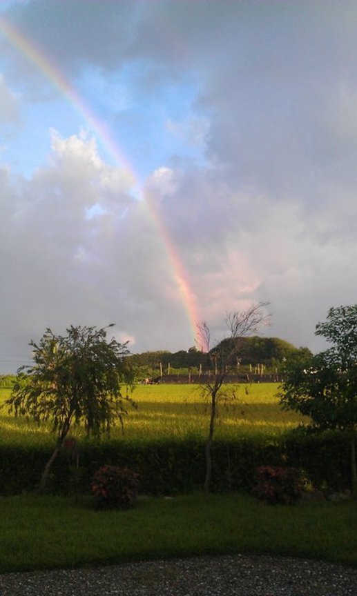 台東縣台東市馬亨亨大道-農村人田野民宿