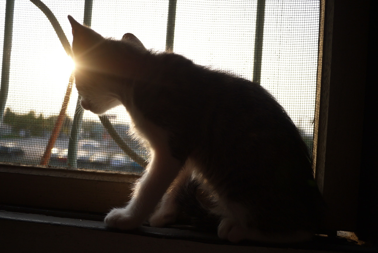 雲林縣古坑鄉－住家