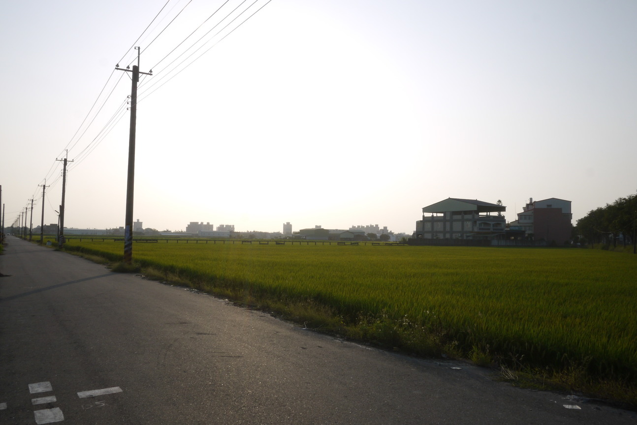 雲林縣斗南鎮－路旁