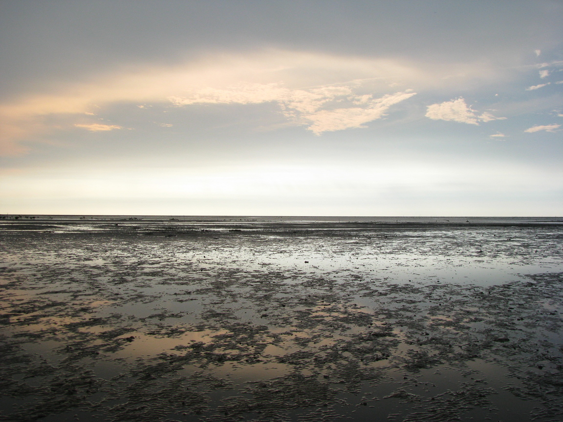 新竹市香山區－香山濕地