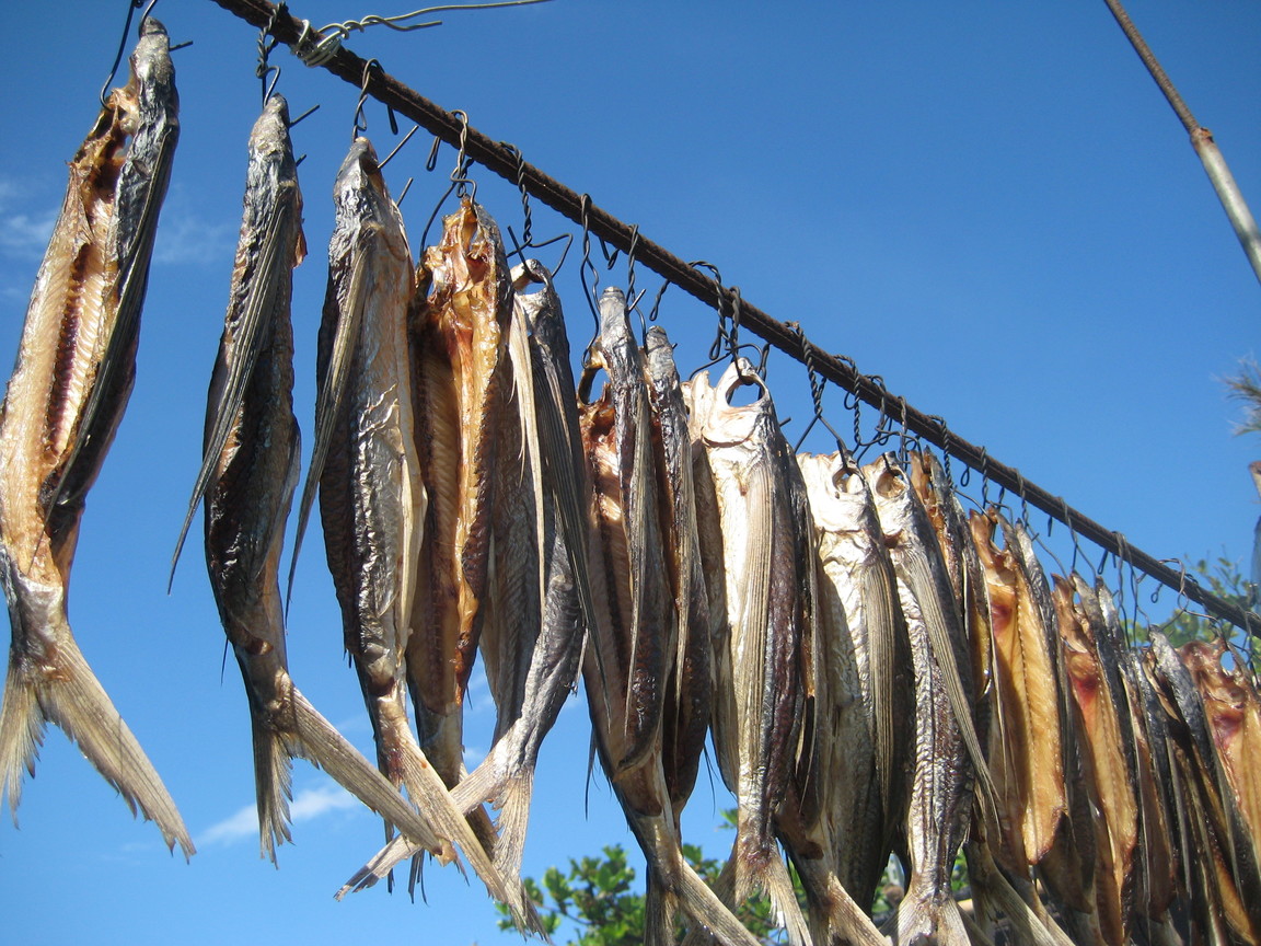 花蓮縣豐濱鄉-Ina曬飛魚