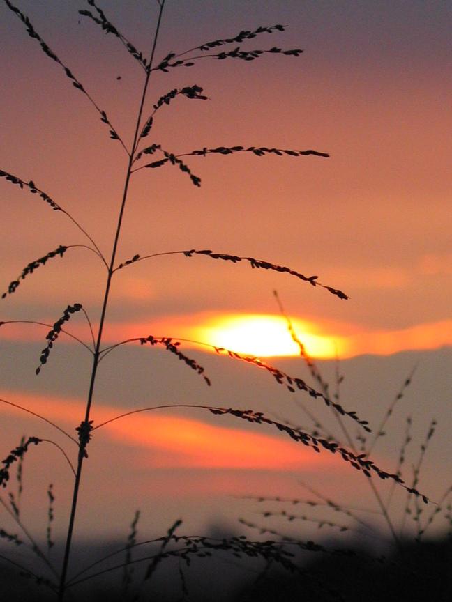 苗栗縣南庄鄉-夕照