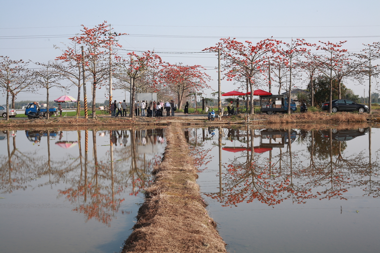 台南市白河區．鬧中取靜林初埤