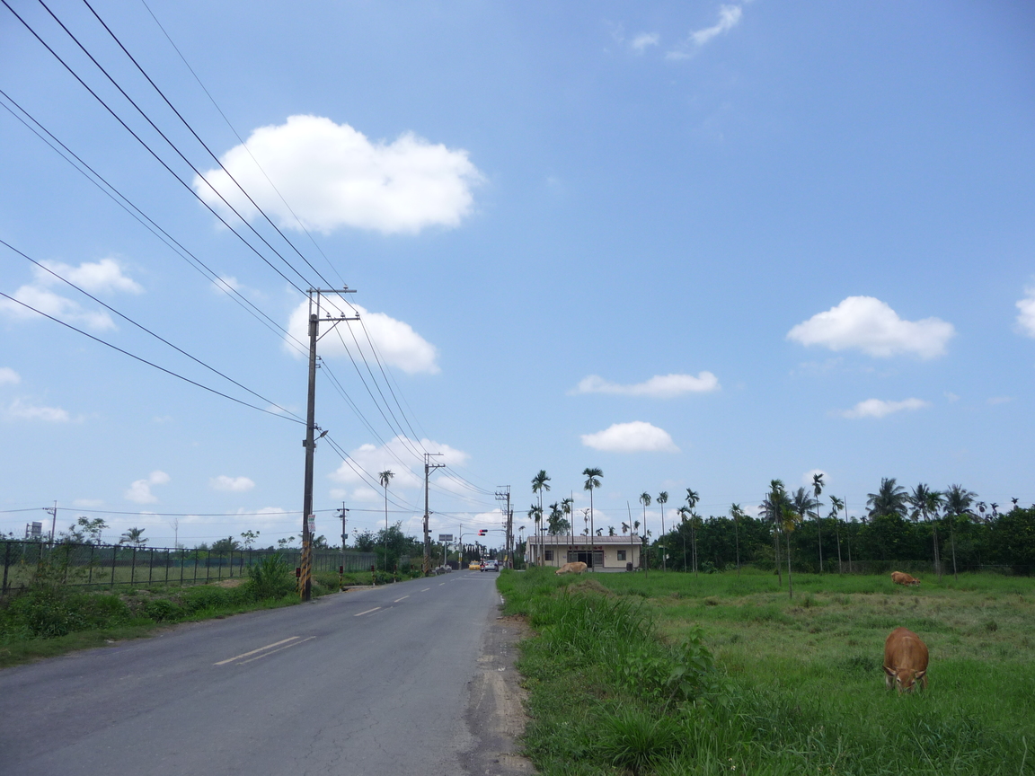 屏東縣泰武鄉—鄉道