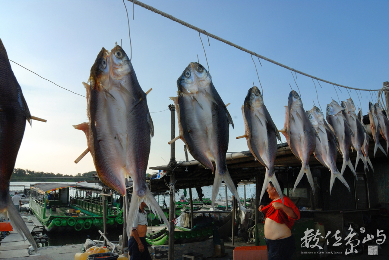 產業與人文組_賴昭旭_03_曬虱目魚