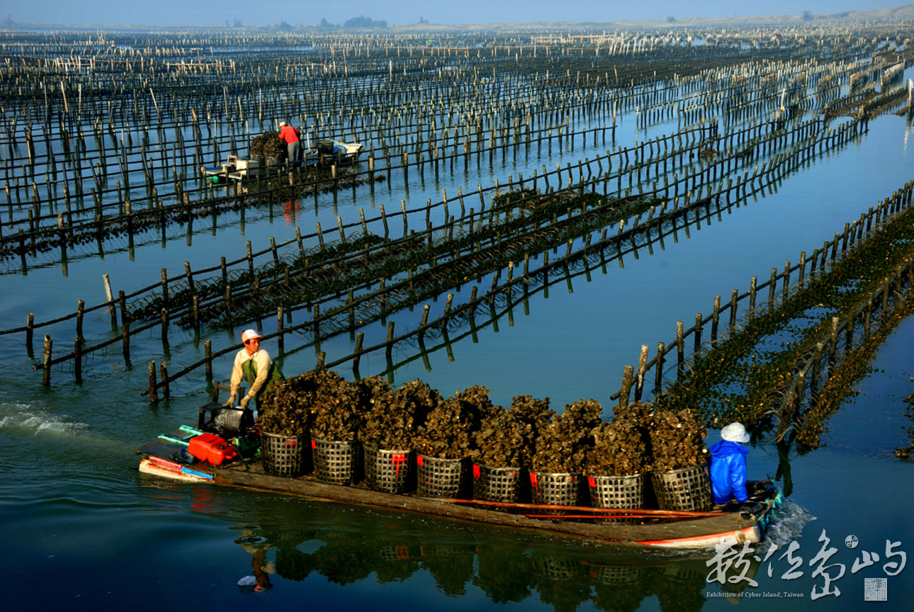 產業與人文組_賴昭旭_02_採蚵