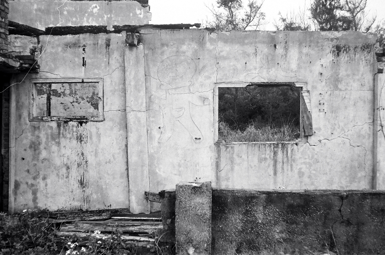 地景與生態組_蔡濟安_02_多拉a夢