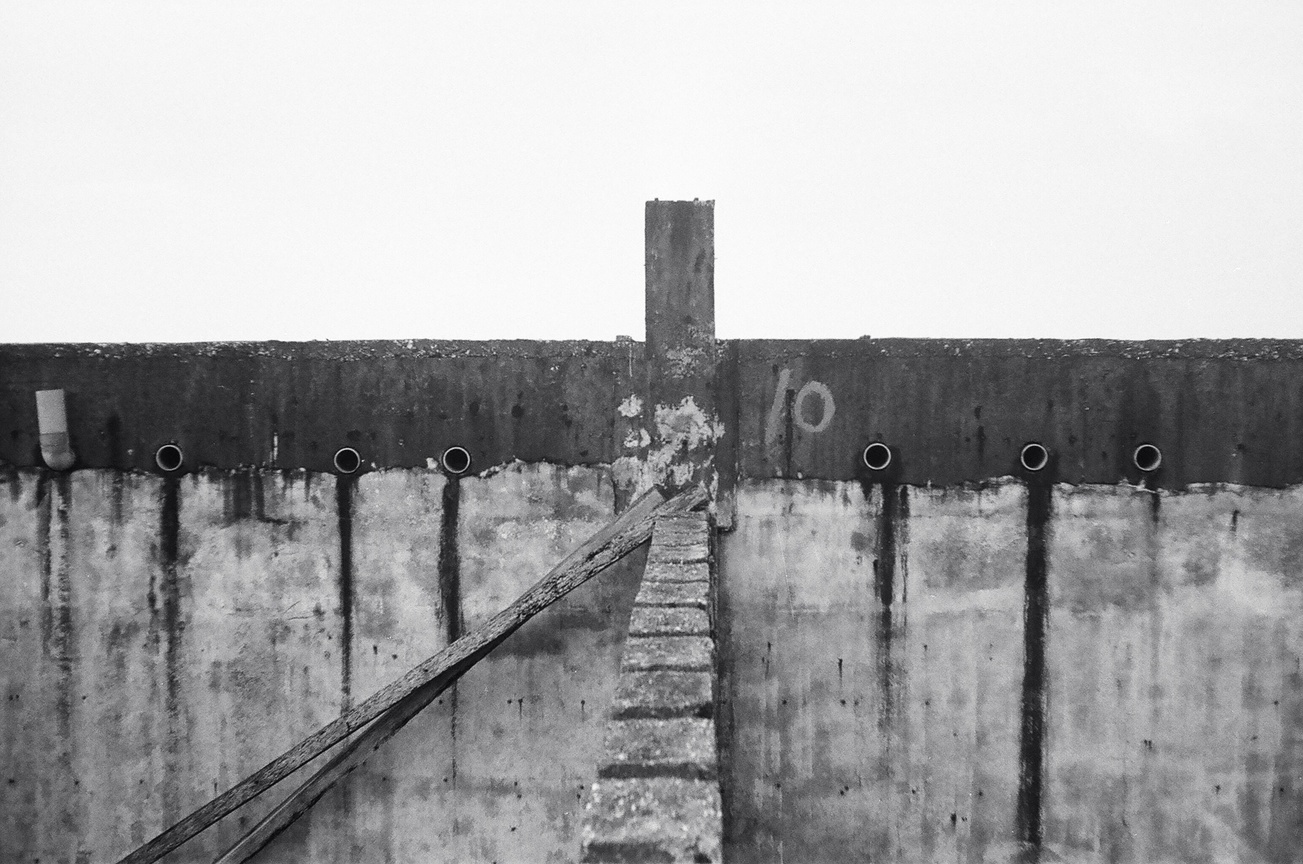 地景與生態組_蔡濟安_02_年久