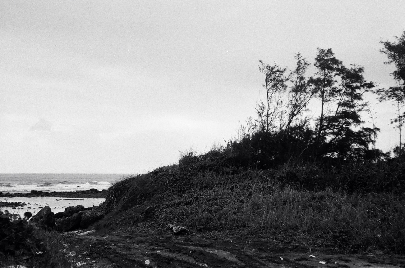 地景與生態組_蔡濟安_02_樹風