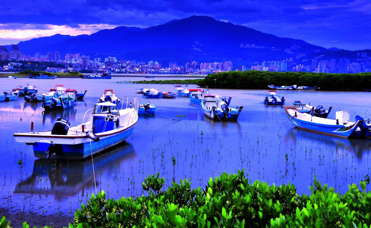 挖子尾生態保護區