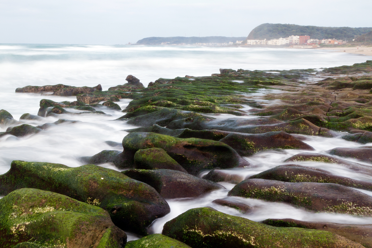 地景與生態組_楊光華_02_石槽藻礁
