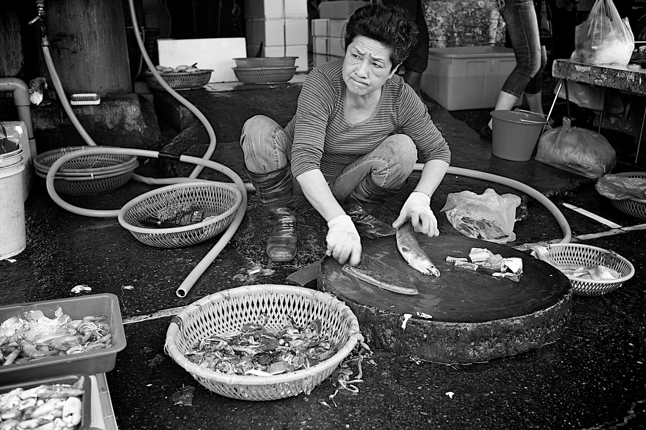海島人。魚販