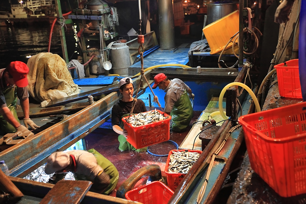 金山的夏日盛宴三