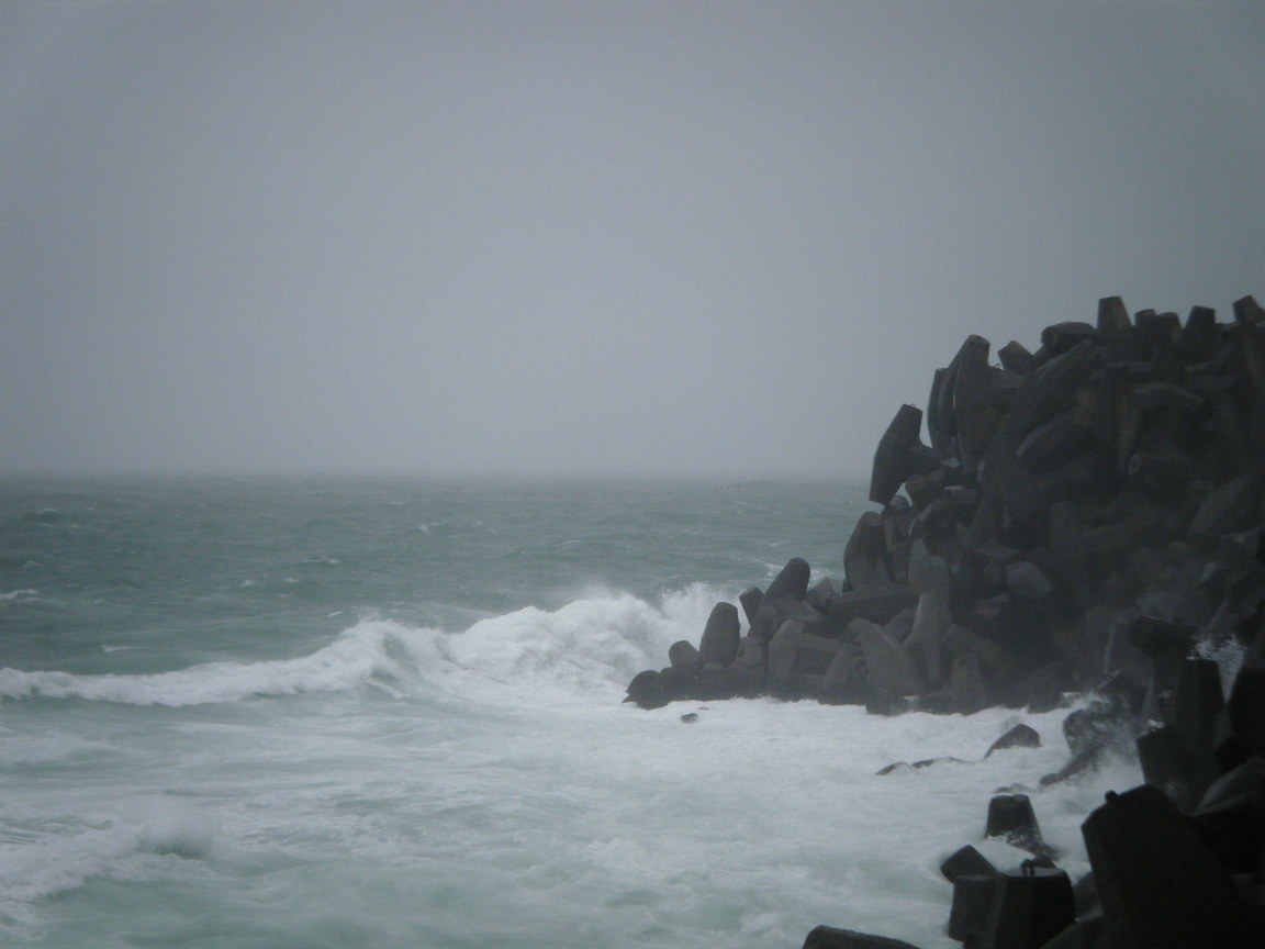 地景與生態_王楷綜_01_怒吼