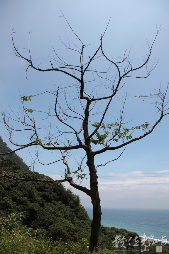 2010年0528環島349