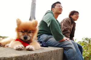 再現美麗島2007年數位�