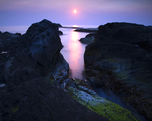 再現美麗島2007年數位�