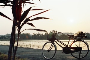 再現美麗島2007年數位�