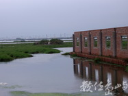 雲林線口湖鄉－池中物