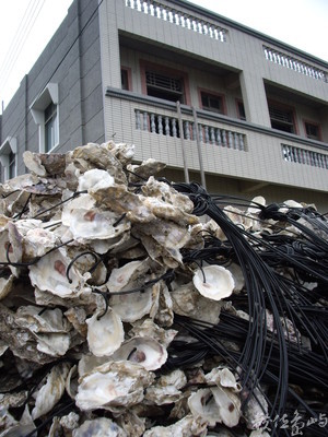 雲林縣口湖鄉-蚵之奇蹟