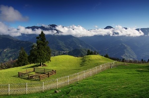 再現美麗島2007年數位�