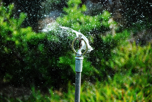 再現美麗島2007年數位