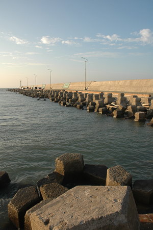 再現美麗島2007年數位�