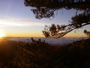 如詩如畫-向陽雲海