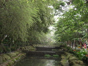 再現美麗島2007年數位島嶼攝影比賽