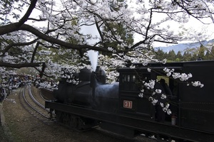 再現美麗島2007年數位島嶼攝影比賽