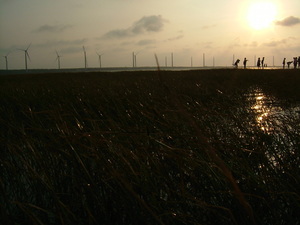 夕陽、大海與友情